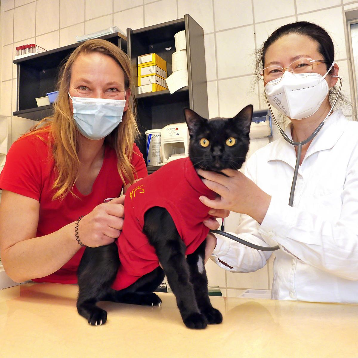 Antwort Kann man beim Tierarzt auch später bezahlen? Weitere Antworten Kann man Tierarzt